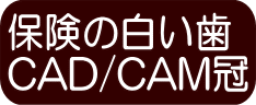 保険の白い歯 CAD/CAM冠