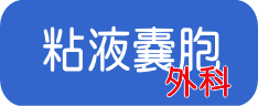 外科
