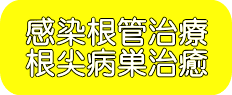 感染根管治療 根尖病巣治癒
